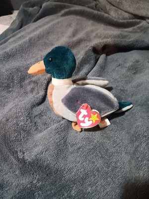 Ty Jake the Mallard Duck Plush Toy
