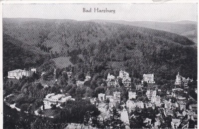 Postcard German Empire Bad Harzburg cityscape real photograph Löffler & Co Greiz