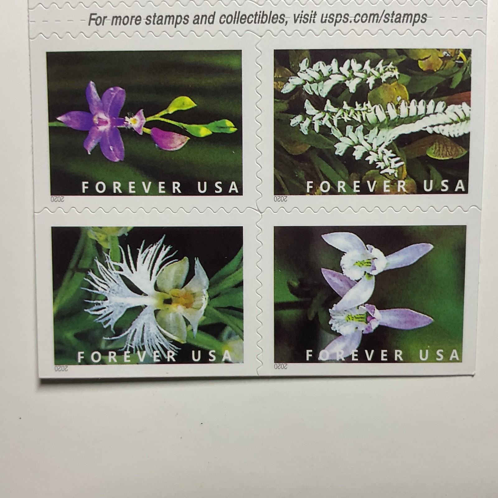 20 Authentic FOREVER FIRST CLASS LETTER STAMPS WILD ORCHIDS STAMPS MNH 2020 BOOK