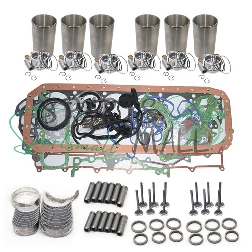 NEW Engine Overhaul Rebuild Kit For 667TA/E2 Engine 46497867 - Bild 1 von 1