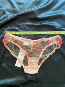 NWT Agent Provocateur Zuri Embroidered Tulle Brief Panty Pink Size 2