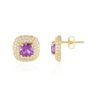 Cavill Ohrringe Damen Sterlingsilber Amethyst 3,25Ct Vergoldet Zirkonia