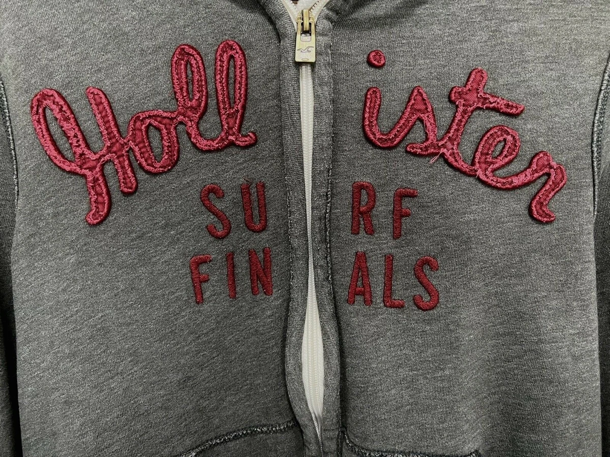 Ebay on sale hollister hoodie