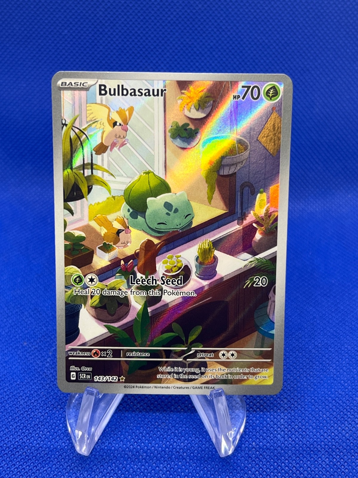 Pokemon SV07 Stellar Crown Bulbasaur 143/142 Illustration Rare IR NM
