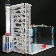 Ant Farm With Feeding Area Insect Ant Nest Educational Ants Formicarium Acrylic