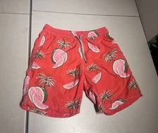 Vilebrequin Shorts Men's XL Palm Floral  Beach Swim Unlined Drawstring