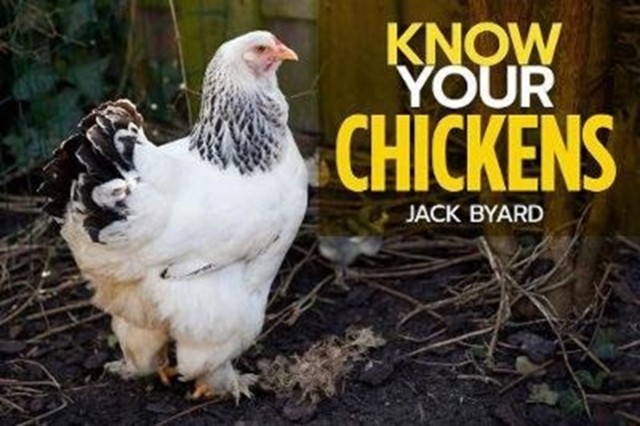 Know Your Chickens (Old Pond Books) 44 Hen Breeds from Ancona to Wyandotte, with Essential Facts on History, Country of Origin, Color, Size, Egg Production, & More, plus Full-Page Photos of Each Breed - Image 7