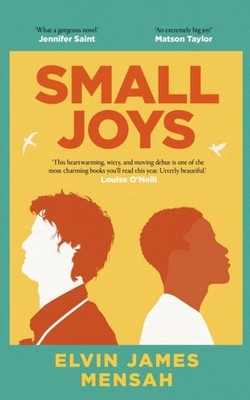 Small Joys by Elvin James Mensah HARDBACK 9781398514881