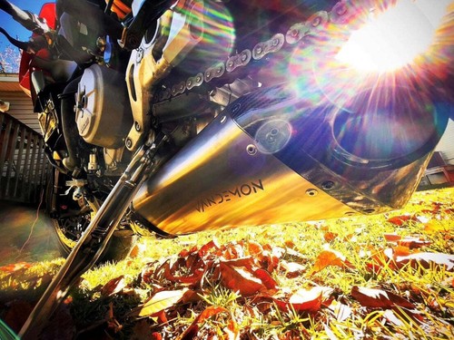 Ducati Panigale 899,959,1199,1299 Titanium Belly Exhaust System 2011-18 - Picture 7 of 13