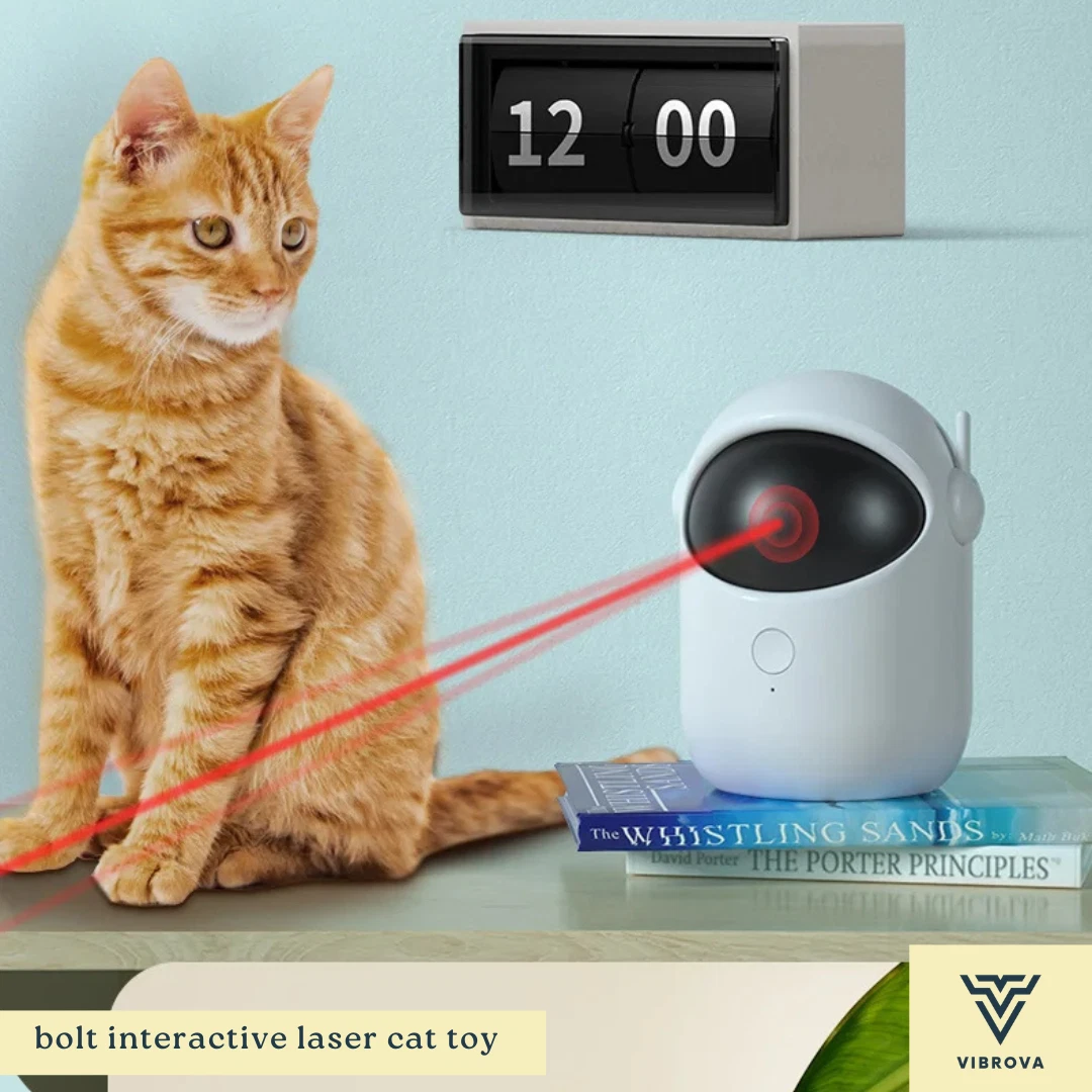 Bolt Interactive Laser Cat Toy | Automatic Pet Teaser with Fast and Slow Modes
Opens in a new window