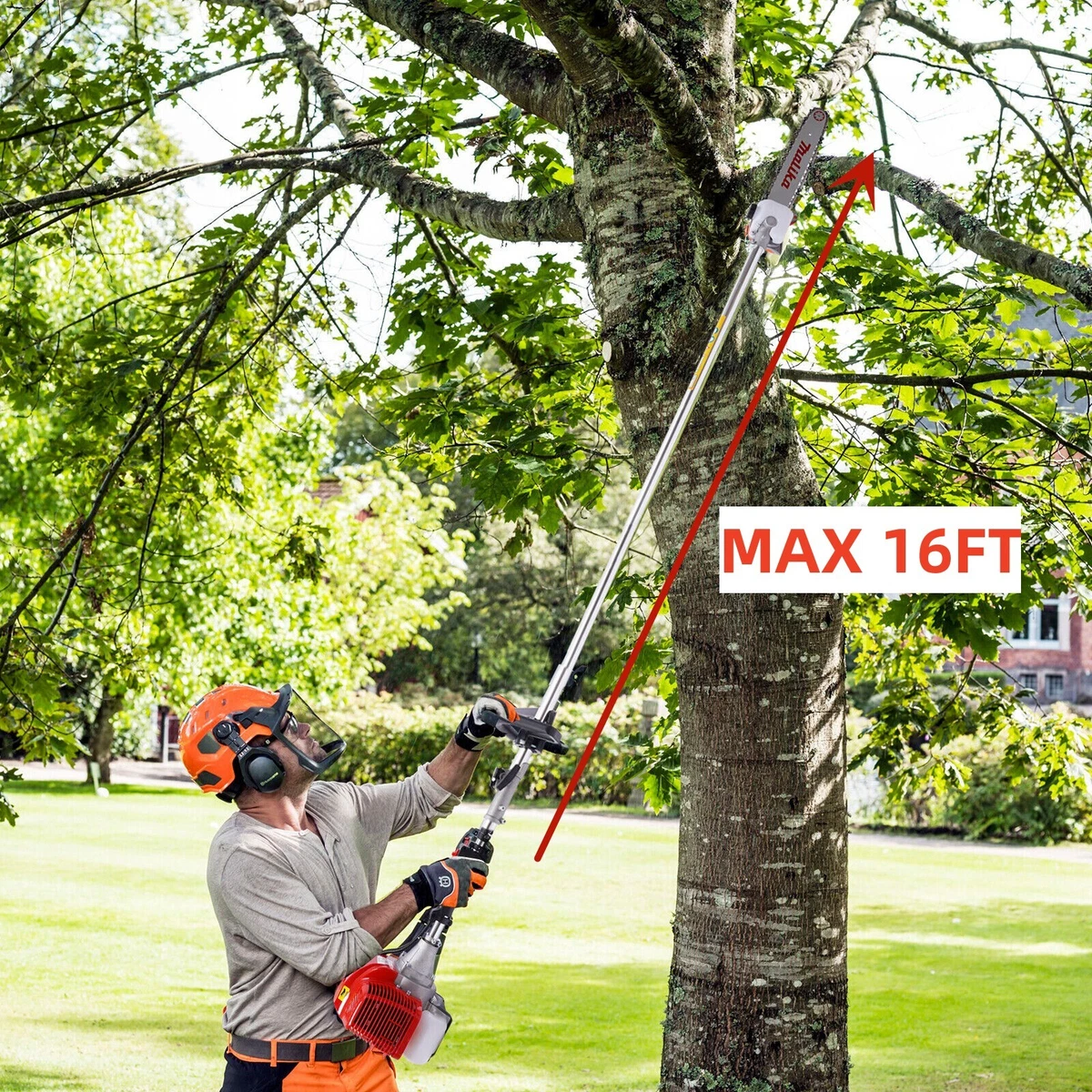 Pole Saw Buyer's Guide How To Pick The Perfect Pole Saw, 42 OFF