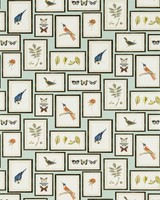 Sanderson Feature Wallpaper Picture Gallery 213400 Aqua Birds Butterflies Frames Sanderson Feature Wallpaper Picture Gallery 213400 Aqua Birds Butterflies Frames