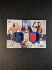 Johnny Gargano/Tommaso Ciampa 2025 Topps Exalted WWE Relic Blue 13/25