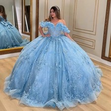 Sparkly Blue Quinceanera Dress Ball Gown Floral Applique Corset Beading Sweet 16