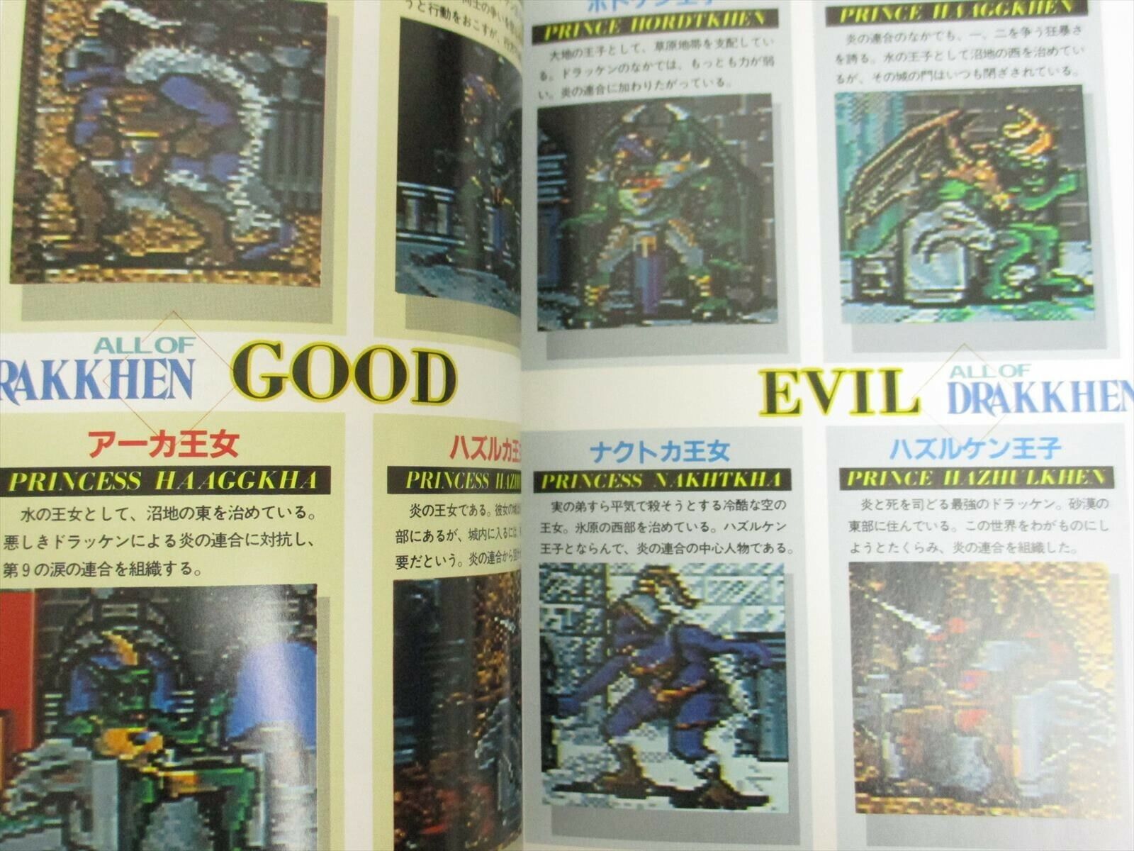 DRAKKHEN no Subete Guide Fan Book Nintendo Famicom 1991 JI27 Goedkope superwinst