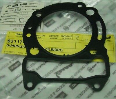 Cylinder Head Gasket, EVO 250 Cylinder Head Gasket, EVO 250
