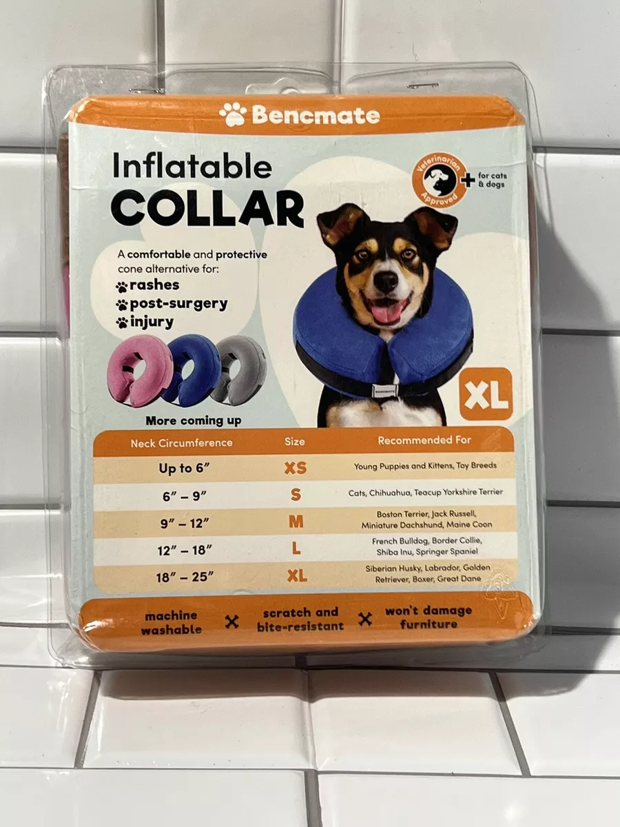 Post op collars for cheap dogs