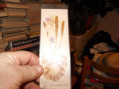 ORCHIS FLORITURING .INC.ORCHIDEENBLUME - PRESSED FLOWERS--ARTS 