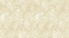 Northcott Stonehenge Basics by Linda Ludovico 39302 120 Desert Sand Cotton