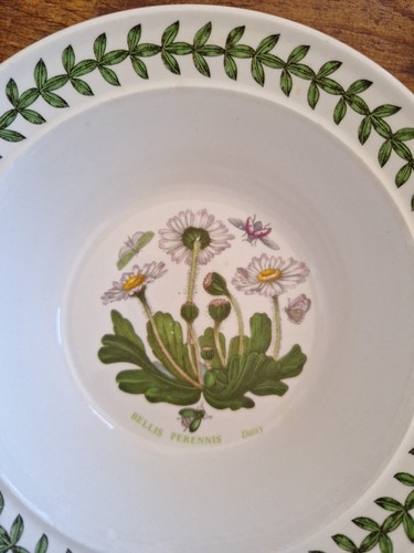 PORTMEIRION Botanic Garden Rimmed Cereal Bowl 6.5" BELLIS PERENNIS Daisy - Picture 2 of 5
