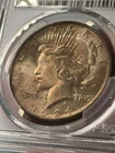 1924 P Peace Silver Dollar PCGS MS-64 - Nice Dark Rainbow Toning!