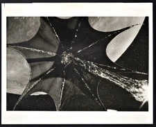 Lifeforce Alien Ship  3 Creatures Vintage Movie Publicty Photograph