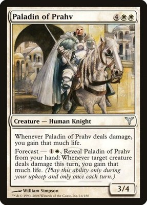 Paladin of Prahv (14)