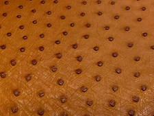 Ostrich Leather Hide Cognac Color SF