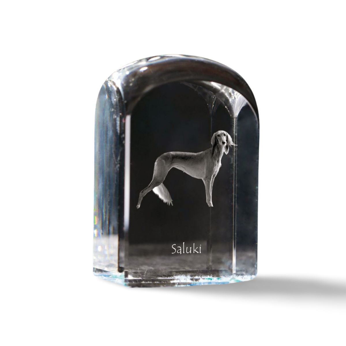 Miniature Persian Greyhound Saluki, Persian Greyhound I Crystal