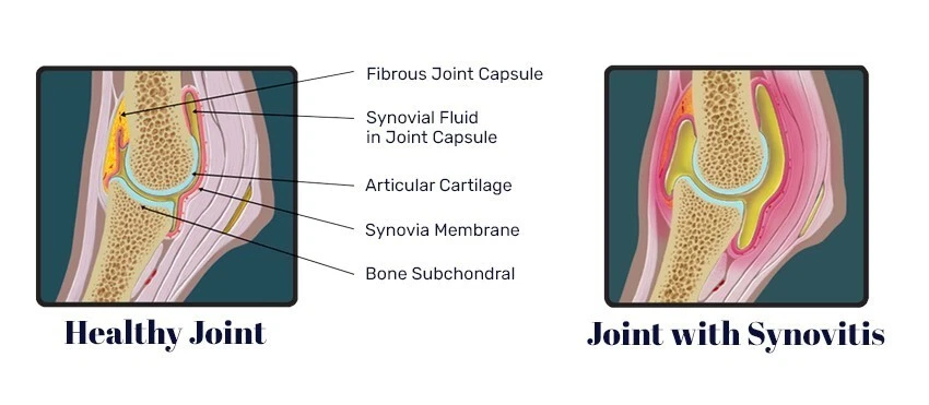 Premium Horse Equine MSM Chondroitin Glucosamine Powder 8kg No fillers/additives - image 4 of 4