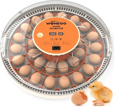 30 Egg LED Candler Incubator Auto Temp Turner