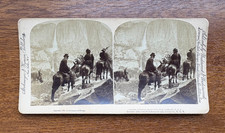 Antique 1894 Stereoview Yosemite Falls Glacier Point Trail Strohmeyer Wyman
