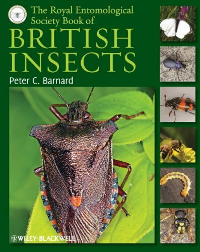 The Royal Entomological Society Book of British Insects by Peter C. Barnard - Image 6