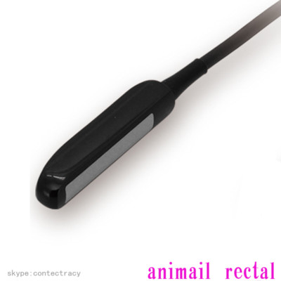 US stock 6.5MHZ rectal Probe for CONTEC Notebook Laptop B-ultrasound CMS600P2vet
