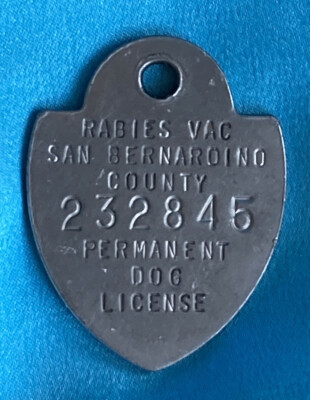 Vintage? Old? San Bernardino County  Permanent Dog Tag License