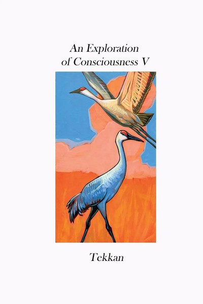 Tekkan | An Exploration Of Consciousness V | Taschenbuch | Englisch (2022)-image