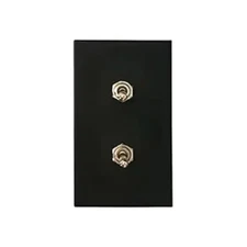 Interior Light Switch ON-Off Set, Switch Plate, Toggle Switch 15A, 250V, AC, 2Pi