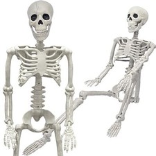 36 Inch Skeleton Halloween Decoration Life Size Full Body with Movable Joints