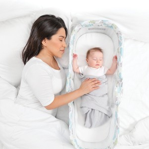 baby delight snuggle nest dream