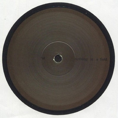 Adam Feingold - Nothing Is A Field (12'')