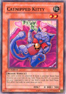 Catnipped Kitty - FET-EN013 - Common - 1st Edition x3 - Near Mint