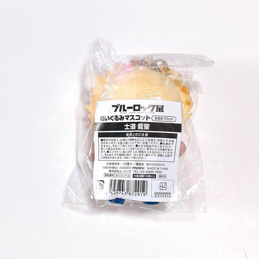 Blue Lock Exhibition Shidou Ryusei Plush Mascot | eBay
