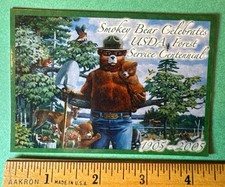 vtg Smokey The Bear USDA Forest Service Centennial 2005  3" x 4" Fridge Magnet