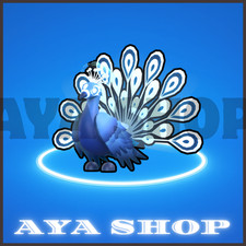 Moonbeam Peacock   Fast  Easy Delivery