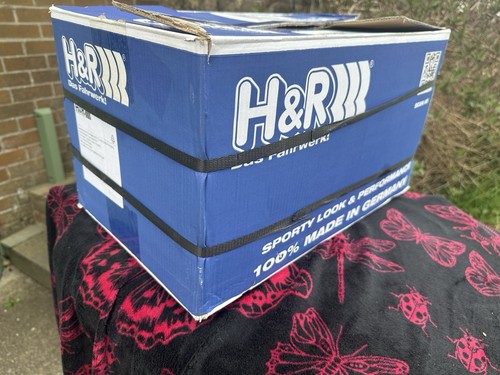 H/R Rear Springs - Picture 4 of 4