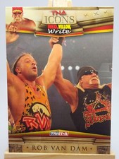 Rob Van Dam 2010 TriStar TNA Icons #30