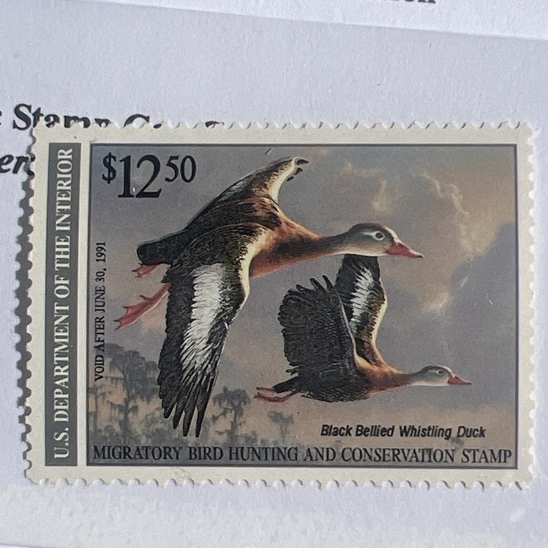 RW57 - Federal Duck Stamp. Single. MNH. OG.  Mint Whistling Duck (50).
