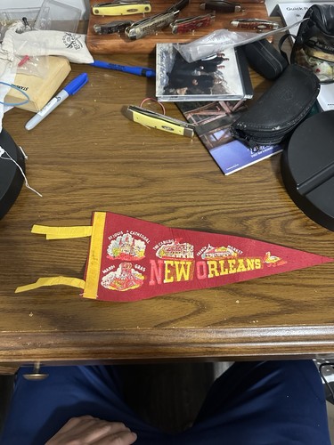 1950s New Orleans Felt Pennant 14” Mardi Gras St. Louis Cathedral French Market