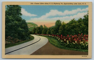 Postcard Canna Lilies Highway 74 Lake Lure North Carolina 1940s Linen M1B