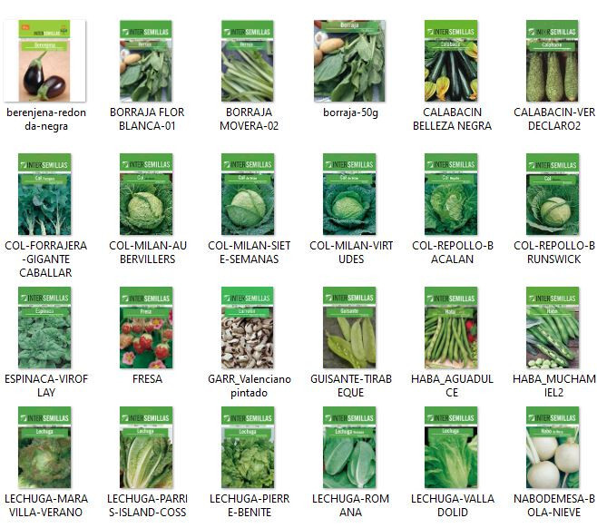 Lote pack de 10 sobres de semillas HORTICOLAS HUERTA TODAS DIFERENTES